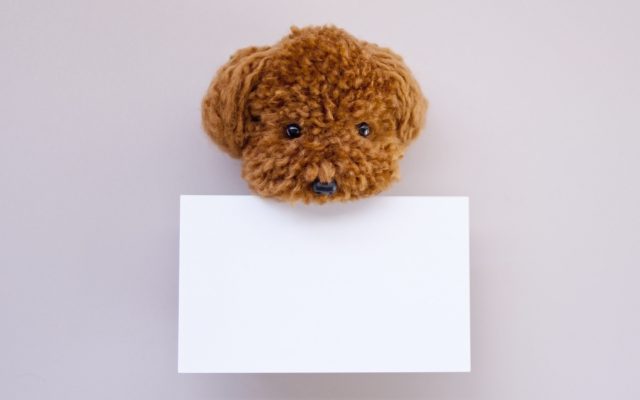 犬がメッセージカードをくわえている
